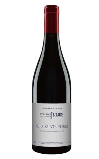 Domaine Gerard Julien & Fils Nuit Saint Georges (France) 2020 -1 Bottle