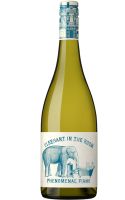 Elephant In The Room Fiano 2021 South Australia - 6 Bottles