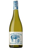 Elephant In The Room Pinot Gris 2022 Limestone Coast - 6 Bottles